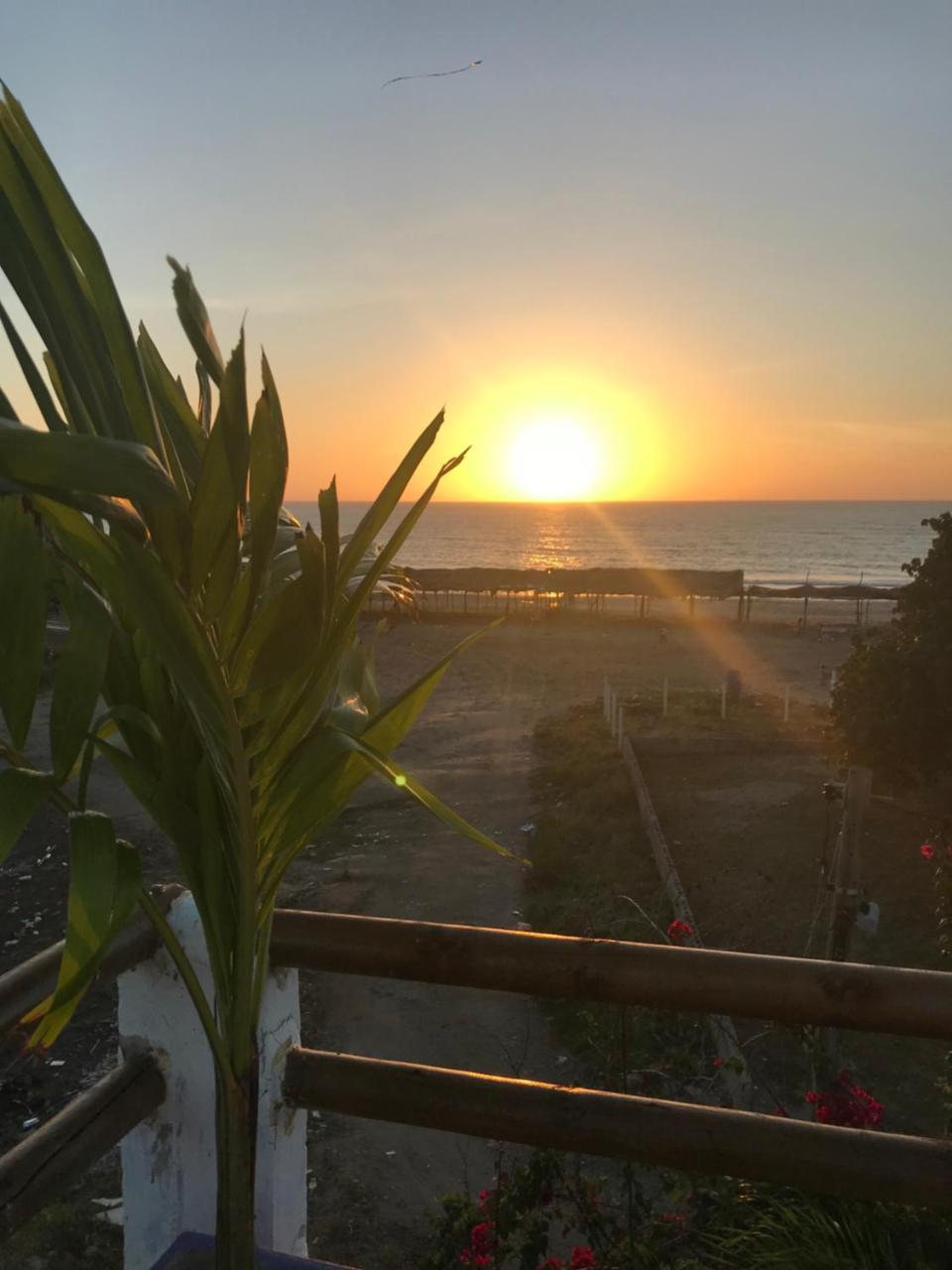 Hotel Palmera Beach Cartagena 外观 照片